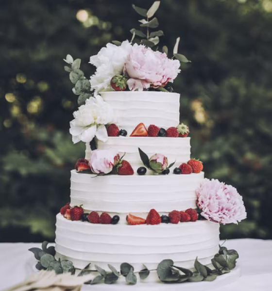 cake 2