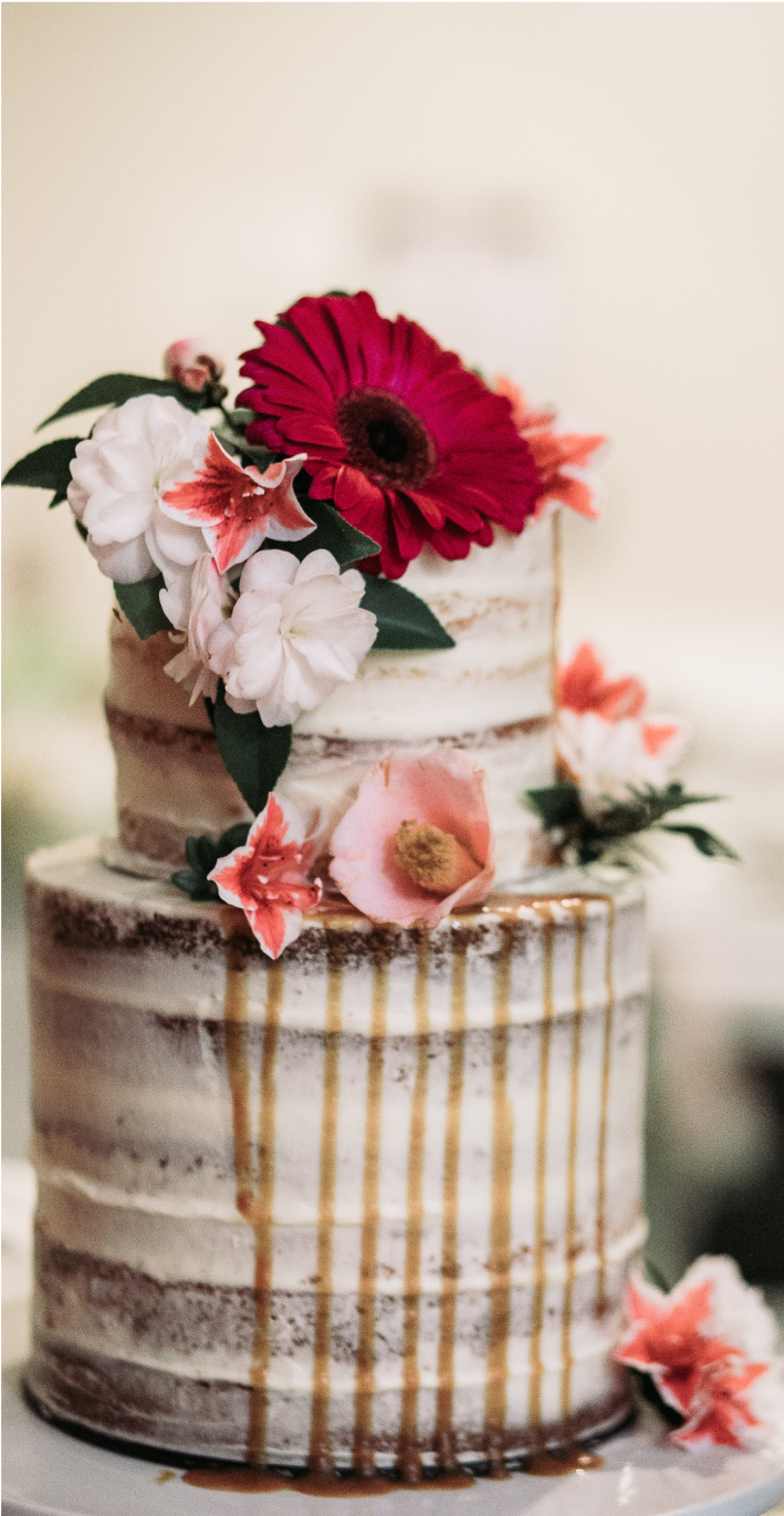 Cake 3